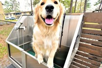 Take advantage of brand new amenities at sister property, Silver Creek! Pictured here: convenient, outdoor dog wash station.